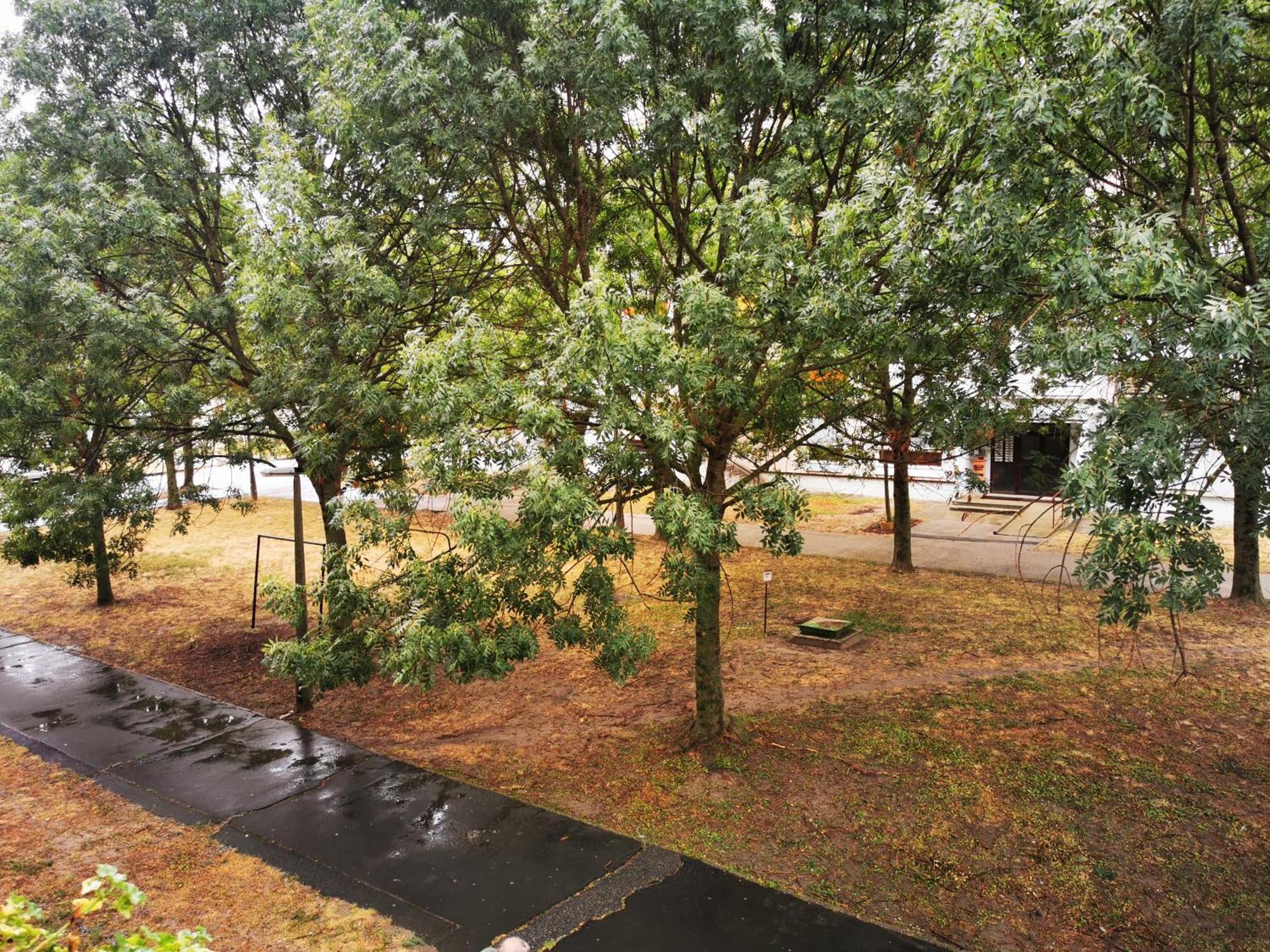Central Park Apartman Szekszard Bagian luar foto